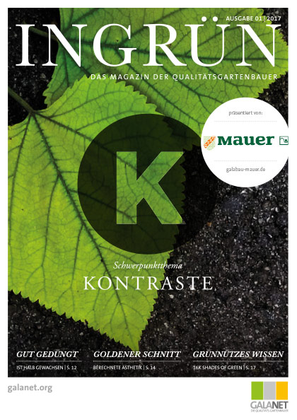 Ingrün 01/2017