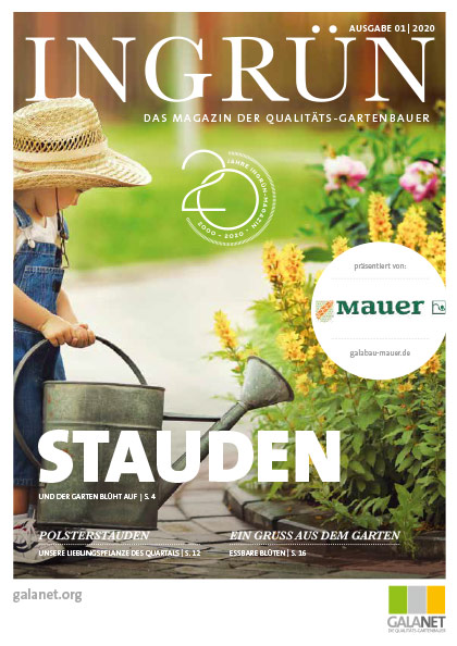 Ingrün 01/2020